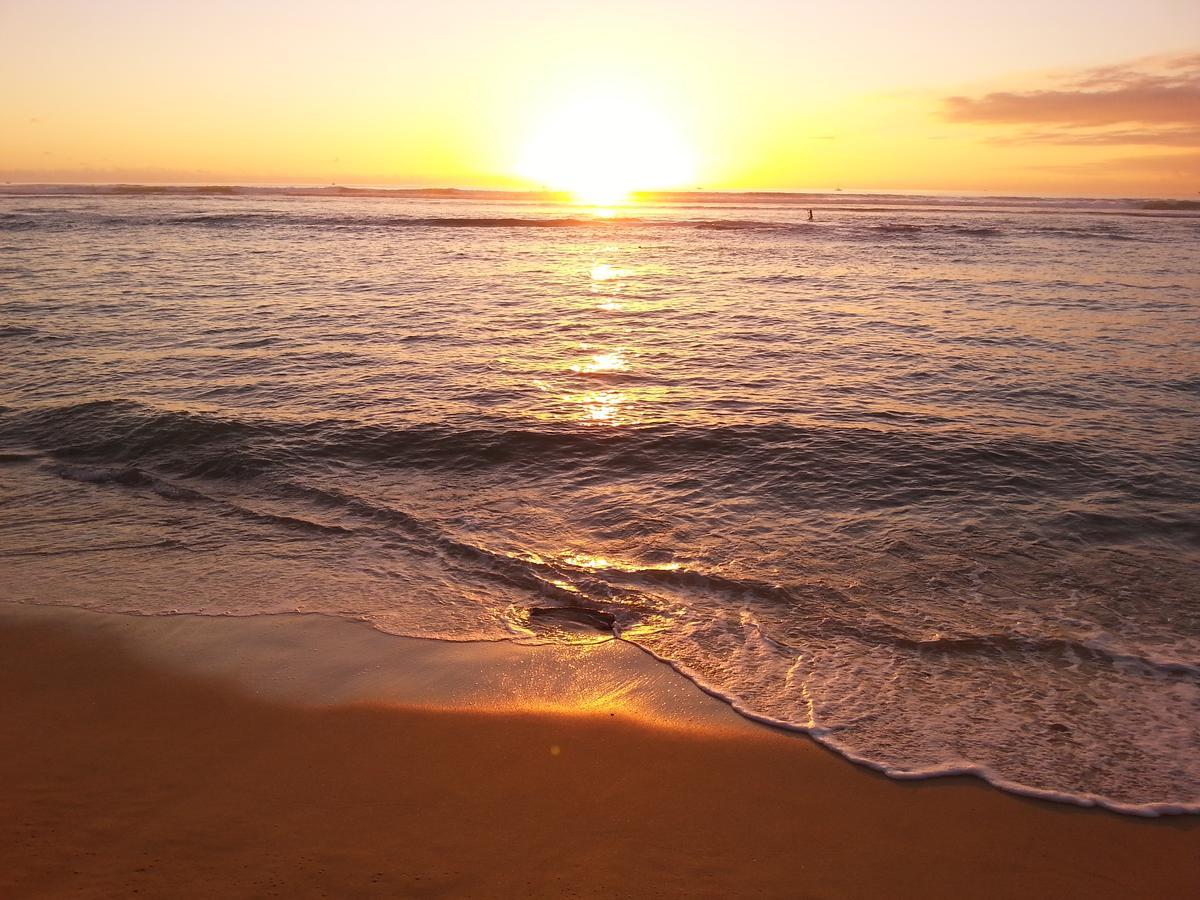 Waikiki Shore Beachfront Honolulu Bagian luar foto