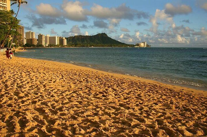 Waikiki Shore Beachfront Honolulu Bagian luar foto